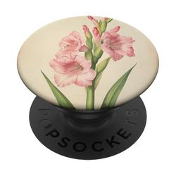 Gladiolo Floral Vintage Ilustración Científica Flor PopSockets PopGrip Adhesivo