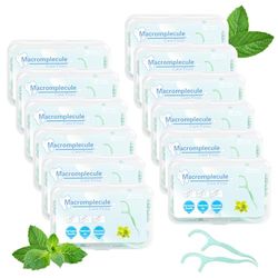 600 Pcs Fil Dentaires à la Menthe Porte, Fil Dentaire avec Manche, Cure Dent plastique, Fils Dentaires,Dental Floss Picks Fils Interdentaires