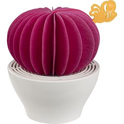 Papirho Aroma Diffuser Cactus Hot Pink