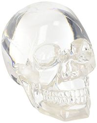 SUMMIT COLLECTION Clear Translucent Skull Collectible Figurine
