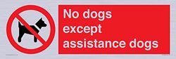 No dogs except assistance dogs znak - 600 x 200 mm - L62