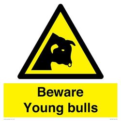 Cartello "Beware Young Bulls - 400 x 400 mm - S40