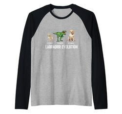Divertida evolución del labrador con T-rex y Puppy Lab Camiseta Manga Raglan