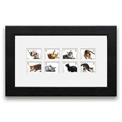 Official Royal Mail Cats Stamps Mounted & Framed by Royal Mail. Ready to Hang Gift in Black Ash Type Frame