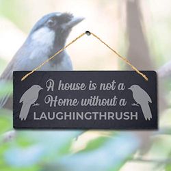 Stukk Panneau d'oiseau à Suspendre au Laser « House is Not Home Without Laughingthrush », Plaque en Pierre d'ardoise Naturelle gravée, 30 x 12 cm