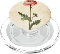 Ranunculus Floral Vintage Ilustración Científica Flor PopSockets PopGrip para MagSafe