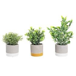 DKD Home Decor Decoratieve plant, standaard