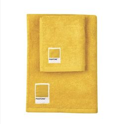 Pantone Badhanddoeken voor bad en bidet van badstof, 100% puur katoen, Öko-Tex-gecertificeerd, set handdoeken voor gezicht en gasten, 50 x 100 en 40 x 50 cm, zacht, absorberend, ook geschikt als