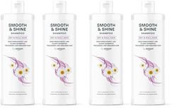 by Amazon, Shampoo Smooth & Shine, 2 x 400 ml (Confezione da 2)