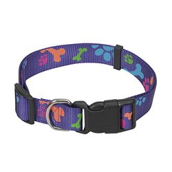 CHAPUIS SELLERIE SLA477 Collar ajustable de perro - Correa de nailon con estampado de patas violeta - Ancho 20 mm - Largo 40-55 cm - Talla L
