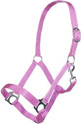 Hkm 4057052242533 Licol intérieur Bruck 3900 Pinkvollblut