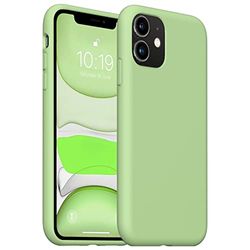 ARMODORRA Mobiltelefonskal för iPhone 11 Pro Max, mjukt flytande silikon, tunt, gummi, helkroppsskyddsfodral för iPhone 11 Pro Max, design för iPhone 11 Pro Max 6,5 tum, ljusgrön