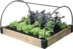 Bosmere Haxnicks Bed010102 Cadre de lit surélevé | Cadre de Soutien Solide pour couvertures en Tissu de Protection des Plantes | Multicolore, 120 x 100 x 50 cm