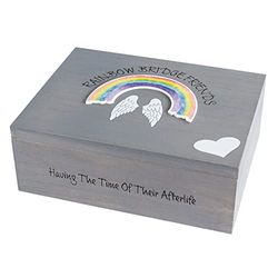 Rainbow Bridge Friends 2332 Pet Loss Pet Memorial Wings Memory Box