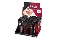 Magic Studio Lipgloss & Lip Liner