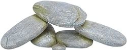 TRIXIE 'Acquario/terrario decorazione plateau in pietra, resina poliestere, 19 × 6 cm – 76324