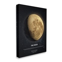 Stupell Industries Design Fabrikken Kunstdruck auf Leinwand, Motiv Earth's Moon himmlische Fakten, 61 x 76 cm, Beige