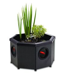 Aqugarden Affinity Pond, Kit de bassin surélevé vitré - Forme octogonale, bassin décoratif, comprend le bassin et pompe à eau Inpond 5 en 1 3000 avec clarificateur UV, trois fontaines