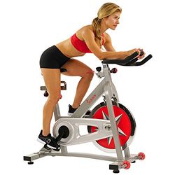 Sunny Health & Fitness Serie Pro 40 libbre. Cyclette fissa per ciclismo indoor magnetica argento con volano - SF-B901