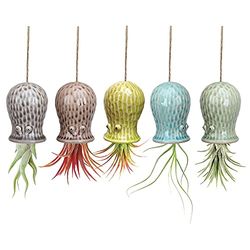 Mimeela 5-pack lufthållare, unik, söt bläckfisk, luftväxthängare, väggplanterare, keramisk tillandsia flygplanshållare, hängande väggdekor för hemmakontor (liten (5 x 8 cm)