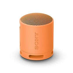 Sony SRS-XB100 -Speaker Wireless Bluetooth, Portatile, Leggero, Compatto, da Esterno, da Viaggio, IP67 Resistente Acqua e Polvere, Batteria da 16 ore, Cinturino Versatile, Chiamate in Vivavoce-Arancio