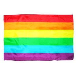 Drapeau 90 x 140 fierté lgbt