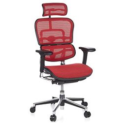 hjh OFFICE 652120 Fauteuil de Direction de Luxe ERGOHUMAN Maille Rounge Chaise de Bureau supérieure pivotante