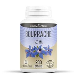Herbes Et Plantes Bourrache Bio 200 Capsules 503 mg