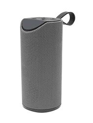 BLAUPUNKT - MP3770-153 - Enceinte Portable - Compatible - Bluetooth - 10W - Gris