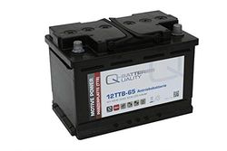 Batería Qbatteries 12TTB-65 Tubular Plate Battery. 12V - 65Ah Caja L3 (278x17...