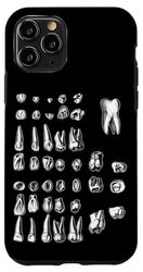 Anatomia Denti Illustrazione Odontoiatria Dentista Medico Custodia per iPhone 11 Pro