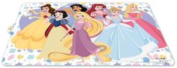 Disney Princess Jasmine Cinderella Rapunzel Belle Snow White Aurora Ariel