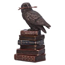Nemesis Now Brązowe czarownice znajome sowa na książce, figurka, 14 cm