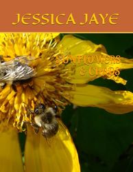 SUNFLOWERS & CHAOS