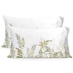 Monterosso Funda de almohada 50x75 cm (x2) (Cama 150/160)