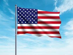 OEDIM Bandera de Estados Unidos | 150x85cm | Reforzada y con Pespuntes | Bandera con 2 Ojales Metálicos y Resistente al Agua