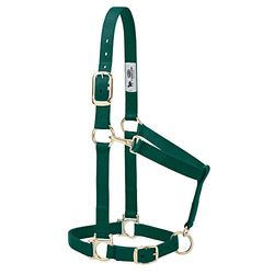 Weaver Leather Licol Basique Ajustable en Nylon, 2,5 cm de Largeur, pour Petit Cheval, Vert Chasseur