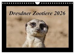 Dresdner Zootiere 2026 (Wandkalender 2026 DIN A4 quer), CALVENDO Monatskalender: Überblick über Tiere im Dresdner Zoo
