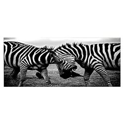 Homemania Wandfoto, zebra-dieren, voor woonkamer, slaapkamer, meerkleurig, 70 x 3 x 100 cm, HM20KNV70 x 100 – 175, polyester, hout