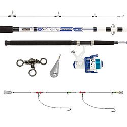 Mitchell Neuron Dorade 212 - Juego de cañas y carretes, blanco, azul, para Pesca