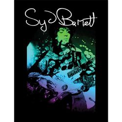 Pyramid International SYD BARRETT (CHITARRA) STAMPA COLLETTORE (FRAMATA)