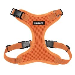 Best Pet Supplies Voyager Step-in Lock - Arnés para Mascotas, Malla para Todo Tipo de Clima, arnés Ajustable para Gatos y Perros, Color Naranja (Borde a Juego), Talla XS (Pecho: 11-16 Pulgadas, Apto