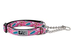 RC Pet Products Martingale Collier de Chien d'entraînement