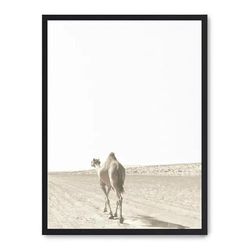 Cuadro camel i_FASE5