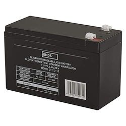 EMOS Bateria de chumbo / acumulador de chumbo sem manutenção para sistemas SAI, iluminação de emergência, sistemas de alarme, alarme de incêndio, barcos elétricos, equipamentos UPS 12 V, 7,2 Ah