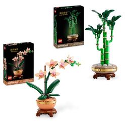 LEGO Bundle Piante Simboliche - Set di Piante Artificiali per Adulti con Mini-Orchidea (10343) e Bambù del Buon Auspicio (10344) - Decorazioni per Casa - Regalo di San Valentino per Donna e Uomo 10343