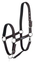 Licol de cheval pour système Goleygo, noir/fuchsia, shetty