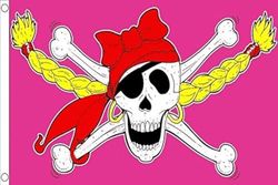 AZ FLAG Vlag piratenmeisje 90 x 60 cm – vlag piraten roze 60 x 90 cm – vlaggen