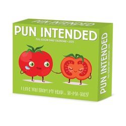 Pun Intended 2025 Box