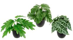 Mini växtsortiment i kruka set med 3 monstera konstgjorda växter gröna växter krukväxter bladväxter inomhusväxter konstgjorda blommor växter blommor som äkta konstgjord dekoration sidenblommor